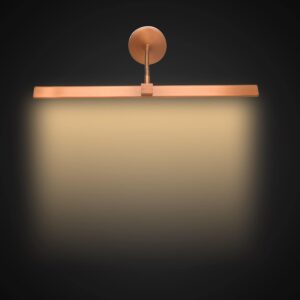 TRIPPING 12 Watt 3 in 1 Warm White,White.Natural White Light Led Display Adjustable up n Down Curve Flexible Neck Wall Lamp Picture Mirror Spot Focus Light Three in one Body Color (12WATT Rose Gold)